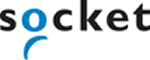 Socket: Company Description
